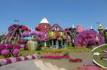  Dubai Miracle Garden & Global Village Tour with Private Transfer