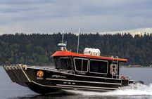Spring Bears and Whales Tour in Campbell River