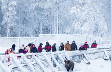 Ranua Zoo Tour (private service)