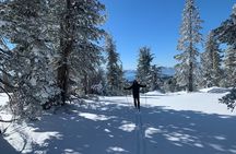 Guided Cross Country Skiing at Lake Tahoe