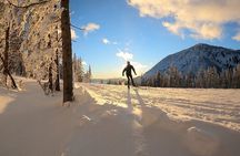 Guided Cross Country Skiing at Lake Tahoe