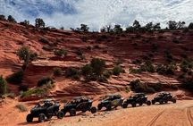 YOU DRIVE!! Rap & Ride - A Full Day of Rappelling and ATVs