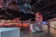 Houston Museum of Natural Science and Cockrell Butterfly Center