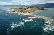 Kaikōura Day Tour From Christchurch With Whale Watch