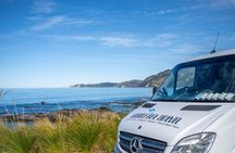 Kaikōura Day Tour From Christchurch With Dolphin Encounter