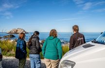 Kaikōura Day Tour From Christchurch With Dolphin Encounter