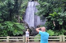 El Yunque National Forest - The Road 191 Corridor - Half Day Tour