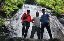 El Yunque National Forest - The Road 191 Corridor - Half Day Tour