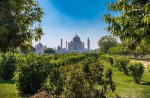 Same Day Agra Tour By Shatabdi Express (Viator Award Winner)