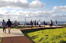 A Day Trip in Auckland City 