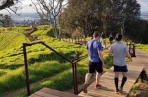 A Day Trip in Auckland City 
