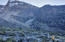6 Days Climbing Mount Kilimanjaro Machame Route