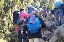 6 Days Climbing Mount Kilimanjaro Machame Route