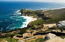 Explore Table Mountain, Meet Penguins and Discover Cape Point