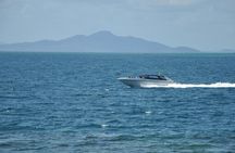 2 Hours Private Speedboat with Hotel Transfer - Sharm El Shaikh