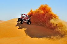 Doha Quad Bike, Dune Bashing, Camel Ride and Inland Sea Tour