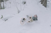 Shared Snowshoe Hiking Tour in Semboku