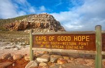 Explore Table Mountain, Meet Penguins and Discover Cape Point