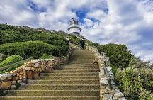 Full Day Private Tour of the Cape Peninsula and Boulders Penguins