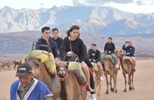 Paragliding and Camel tour in Agafay from Marrakech