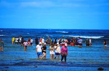Private Full-Day Tour of Sal Island