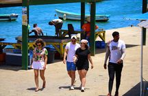 Private Full-Day Tour of Sal Island