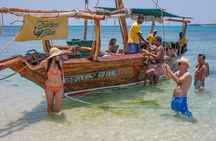 Full day Private Zanzibar Trip Safari Blue tour ( with lunch)