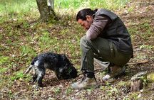 Umbria Truffle Hunting Experience with Brunch