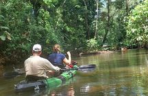 Guided Kayaking Tour to Punta Uva River with Nature and Swimming
