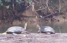 Guided Kayaking Tour to Punta Uva River with Nature and Swimming