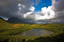 Private Kauai 5-Hour Eastside & Waterfalls Bus Tour