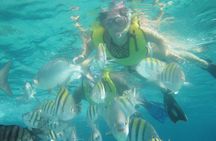 Cozumel Beach + Snorkeling Time 