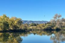2 Hours of Mindful Bird Watching near Denver