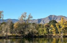 2 Hours of Mindful Bird Watching near Denver