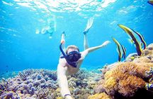 Snorkeling Nusa Penida and Island Tour Package