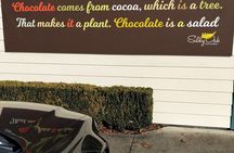 Half Day Sights and Tastes Tour in Napier 