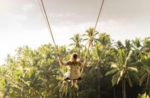 Full-Day Private Car Charter in Bali with Local Guide