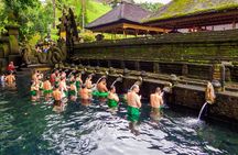 Full-Day Private Car Charter in Bali with Local Guide