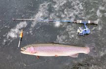 Anchorage Ice Fishing Adventure with transportation