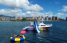 Deluxe Snorkel and Wildlife Cruise in Waikiki
