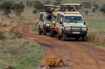 5-Day Tanzania Safari Holidays