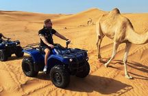 Desert Safari Dubai Experience with Dinner