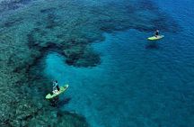 Stand up Paddle and Snorkeling lesson in Playa Blanca