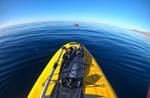 Stand up Paddle and Snorkeling lesson in Playa Blanca