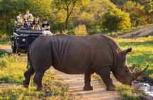 Aquila Big 5 Safari: Exclusive Wildlife Tour & Park Fee included 