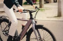 E-Bike City group tour 2.5h