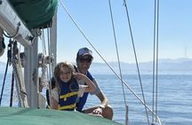 2hr. INTERACTIVE Sailing Experience on San Francisco Bay