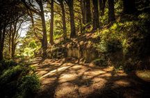 Wellington's Original HD LOTR Experience - includes Weta Tour