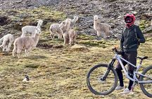Mountain Biking Enduro - MTB Sacred Valley Lares