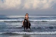 Seminyak beach Private Bali Horse Riding